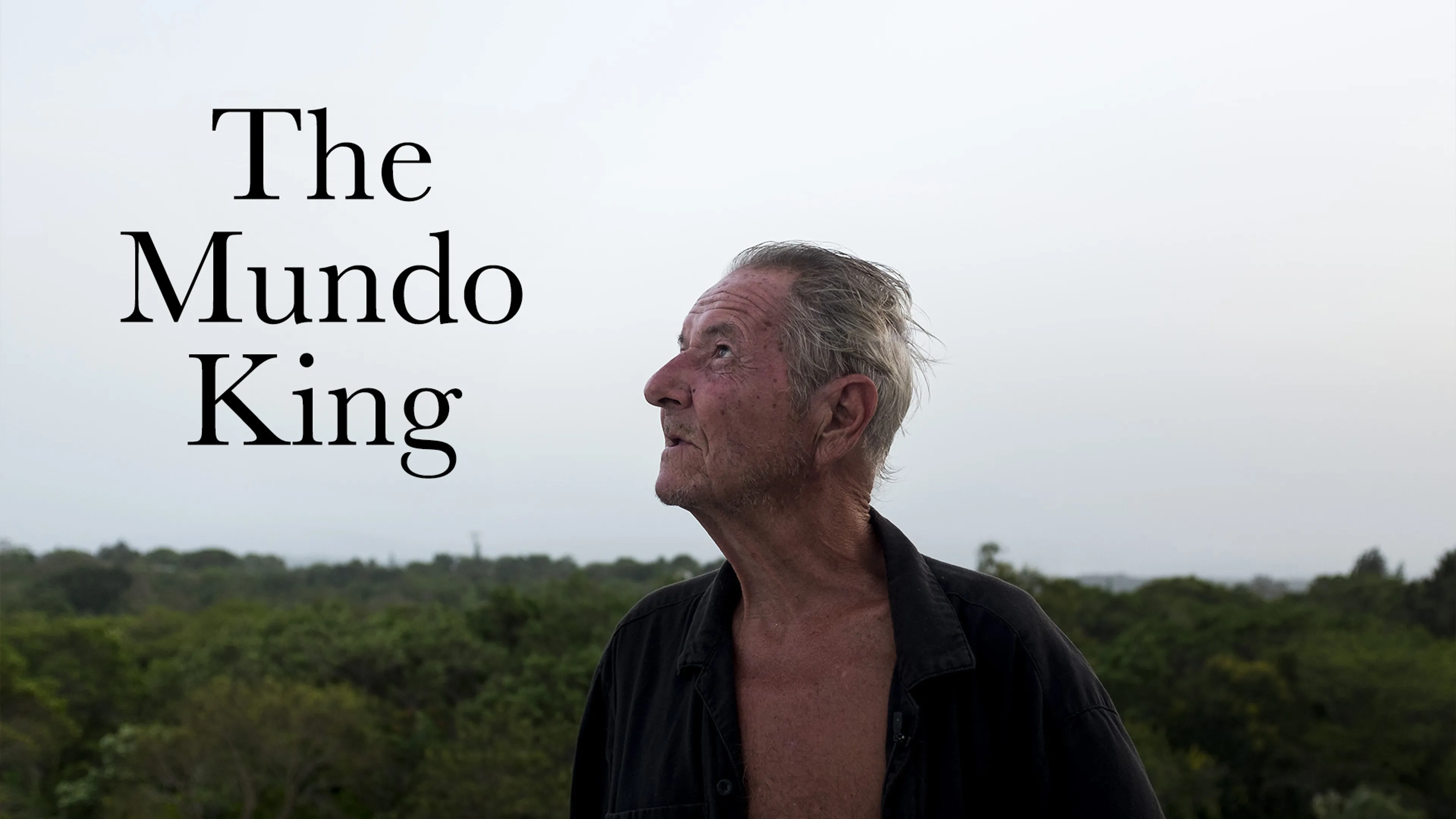 The Mundo King poster